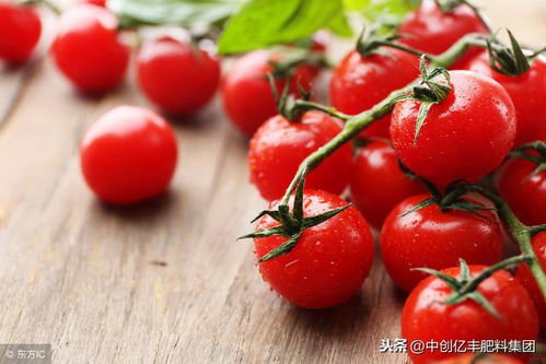 专家说 要谨慎使用