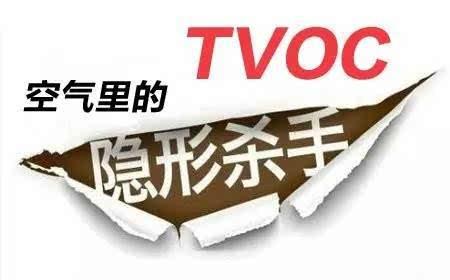 乱谈TVOC去除方法二：植物大作战