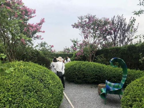 屋顶绿化新突破