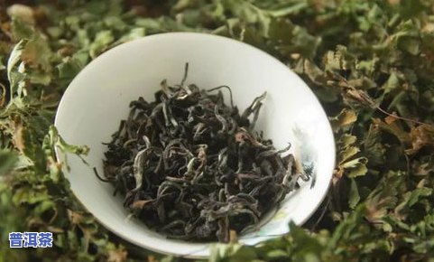 四川森林雪茶价格揭晓：一包白美人茶叶多少钱？