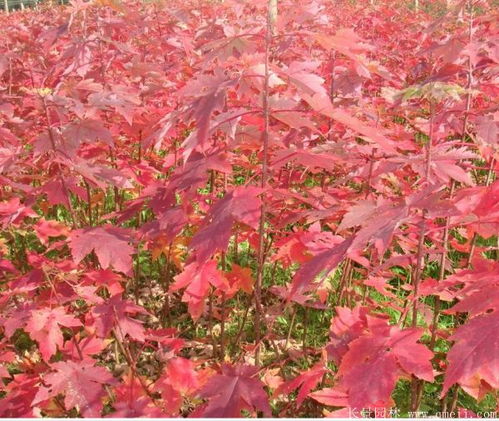 价格表来啦，快来堪堪！