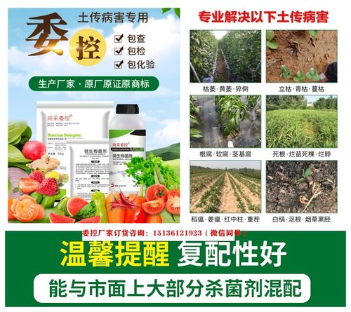 药剂防治：烂根病要治