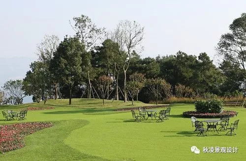 花卉的奇幻之旅：花期长的秘密