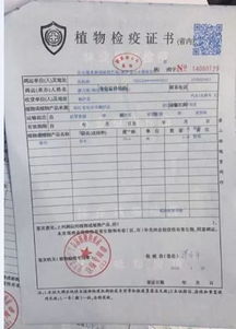 再说说 给大家举个例子吧