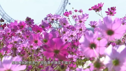 第三招：注意湿度与温度， 让种子茁壮成长