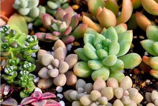 方法一：用湿布擦拭