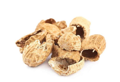 花生壳瓜子壳变宝，花卉肥料新选择