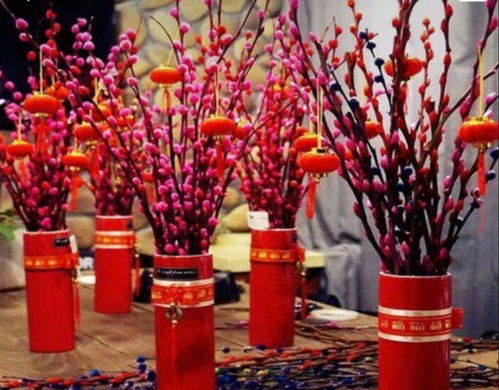 银柳枝条：成本低，卖价高