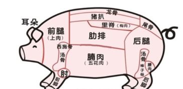 猪批次化生产人工授精定时输精技术