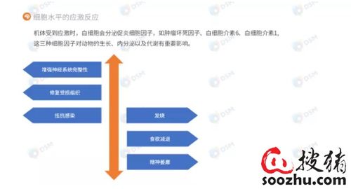 养殖环境因素及优化措施