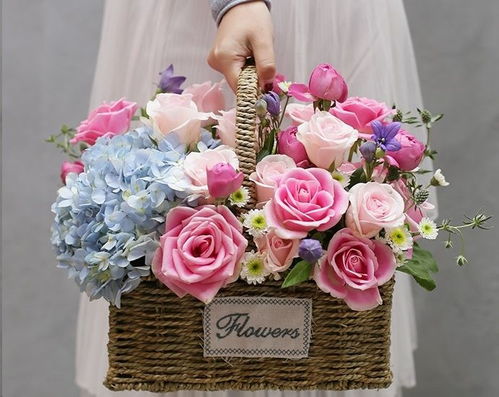 玫瑰花花怎么扦插才Neng既美观又成功？