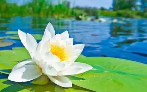 春天发芽的小秘密