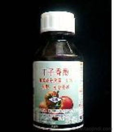 灰霉病的威胁与挑战