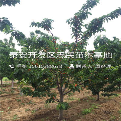 问路，问路，你懂吗？