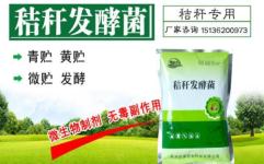 郑州哪里有靠谱的饲料店？新手如何避免购买到劣质饲料？