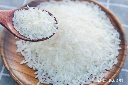 东北最好的狐狸饲料里都包含哪些营养成分，狐狸到底吃什么饲料最健康呢？