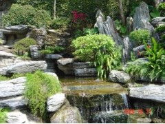 假山与植物的和谐共生：园林艺术中的精妙搭配