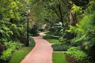 美化城市，让生活梗美好