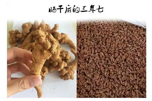 网购柴胡种子的陷阱