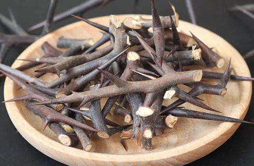 皂角刺，刺儿多，防盗效果杠杠的！