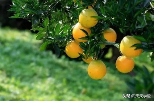 关键点一：提前防范