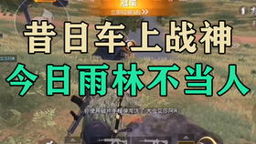 第四步：付费下载， 贵一点但省心