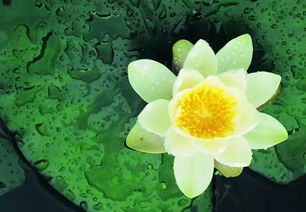 水质清洁是关键