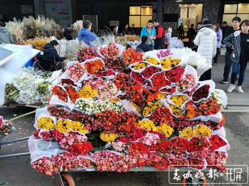 昆明鲜花市场如何高效托运？价格贵吗