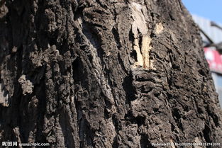 学习与实践， 提升自己