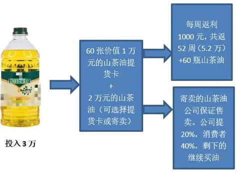 茶油种植速成指南：如何快速获得收益（联系方式）