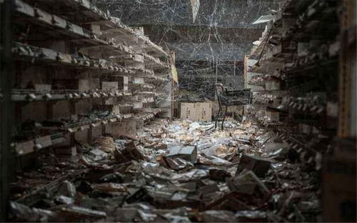 茶油好处多,哪些品牌更值得信赖?