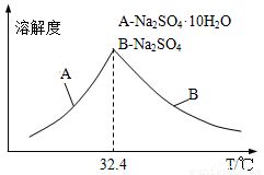 小黄花浇水秘籍：一次浇多少水？生死线揭秘！