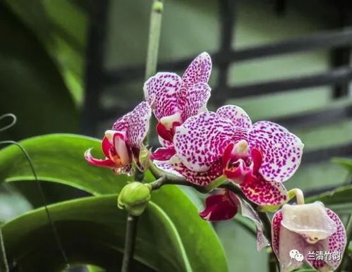 环境因素，不可忽视