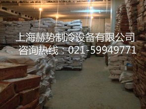 反季节冷库金针菇栽培，利用低温调控技术