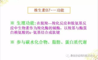猪养殖必备维生素：A、D、E、K、B族