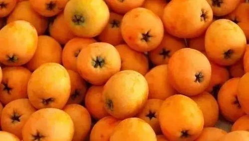 除草剂是化学的， 得小心点用