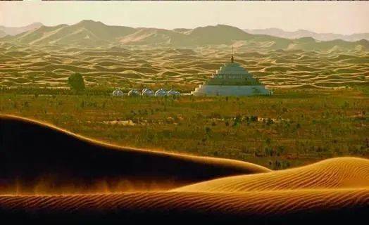 沙漠探秘：十大耐旱植物大揭秘