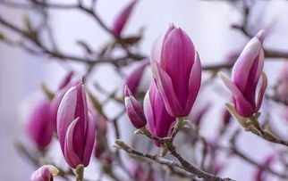 温度：玄学大揭秘