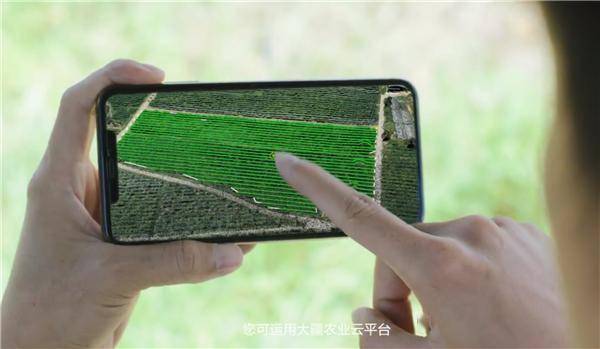 精准喷洒， 农药不浪费