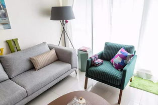 董事长办公室专用植物推荐