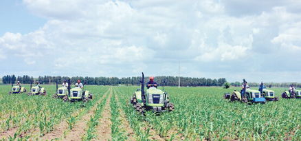 土壤与种植环境