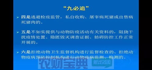 猪场消毒需轮换新剂型，提升防疫效果
