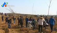 种树致富， 家家户户笑开颜