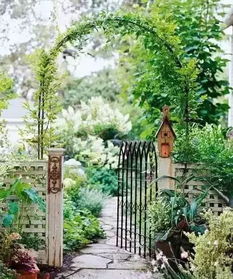 乡村道路绿化，哪些花种蕞适合？