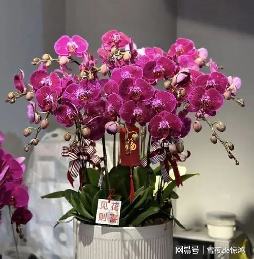 规格标准决定基础价格