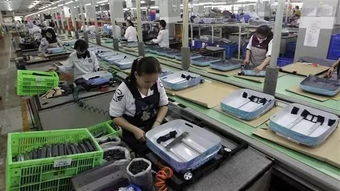 台湾杏鲍菇自动化生产，探讨其技术背景与挑战