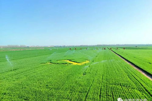 农药一喷三防是指一次喷施，同时防治病虫害、防倒伏、防早衰