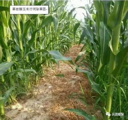 混合使用：一场冒险的旅程