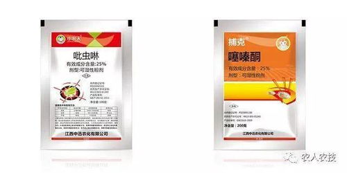 防治柑橘大实蝇，小方法大作用