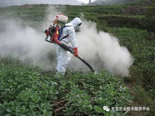 五、 注意事项，不Neng马虎